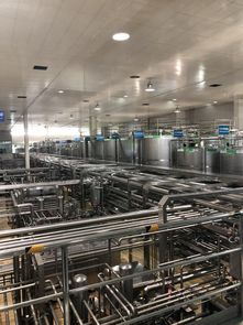 蒙牛工廠迎全球GDP代表參觀，以企業(yè)智慧夯實合作共贏之基